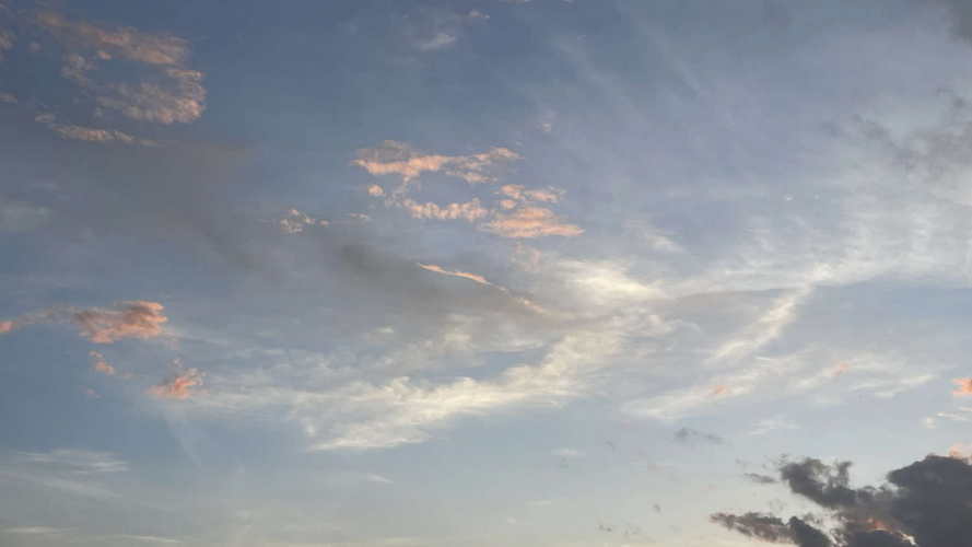 MIA_2023-08-12 20-02-01_DANI_IMG_E5244